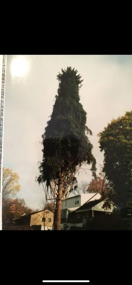 Local yard cleanup service in Totowa, NJ by Tony's Landscaping