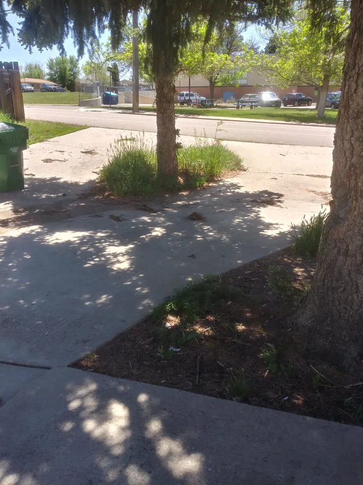 Custom garden landscaping experts serving Wheat Ridge, CO - Tony's Lanscaping