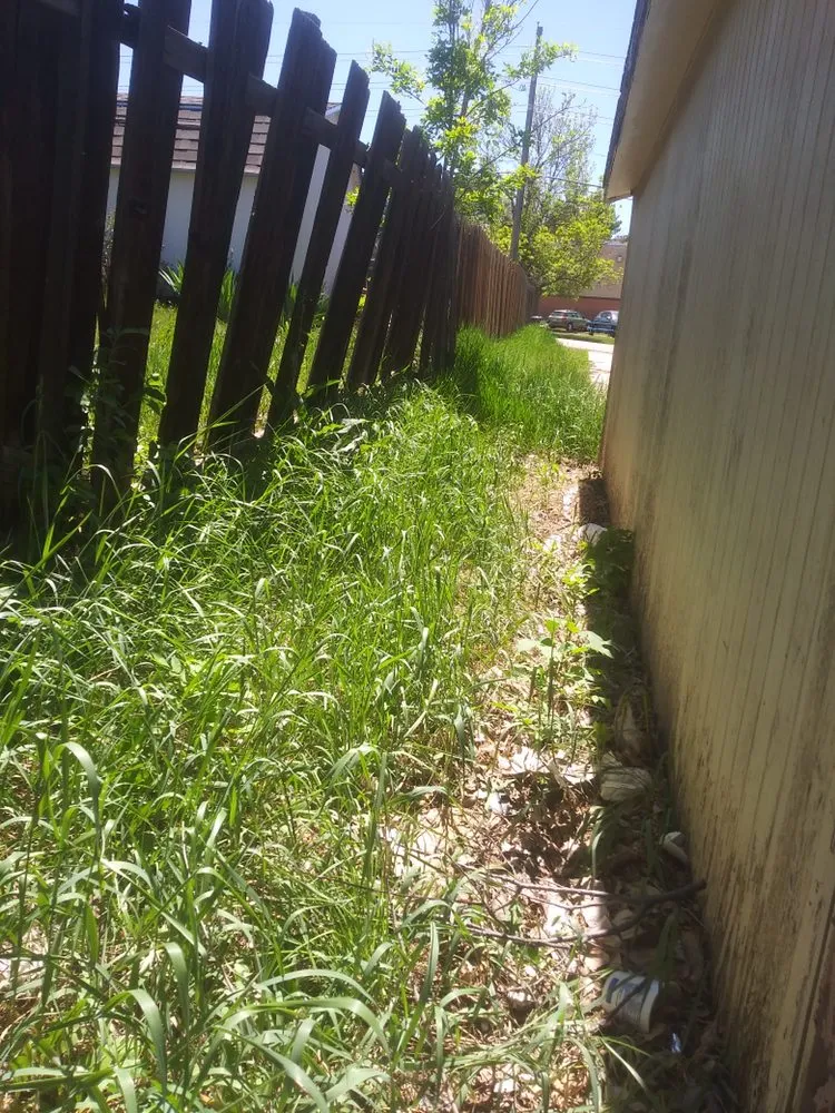 Expert lawn care service for year-round maintenance in Wheat Ridge, CO by Tony's Lanscaping