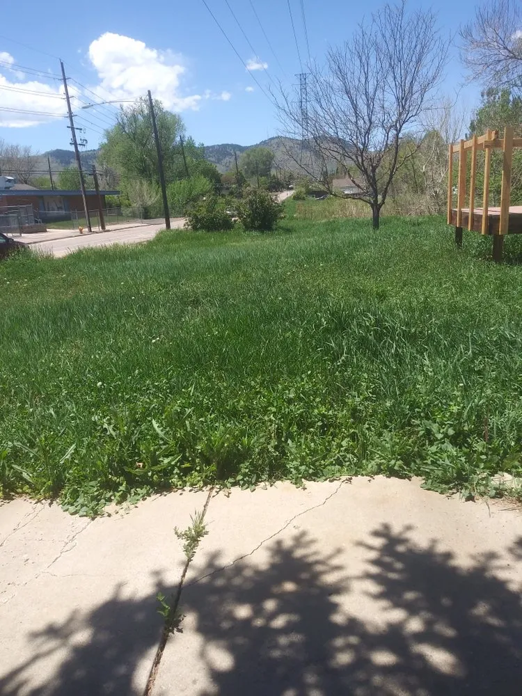 Professional landscaping services experts serving Wheat Ridge, CO - Tony's Lanscaping