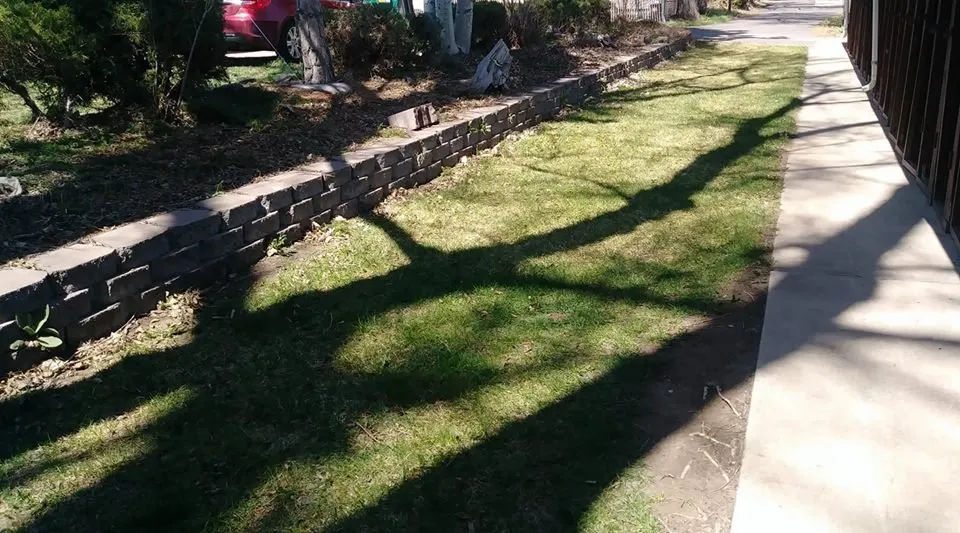 Professional outdoor landscaping for year-round maintenance across Wheat Ridge, CO - Tony's Lanscaping