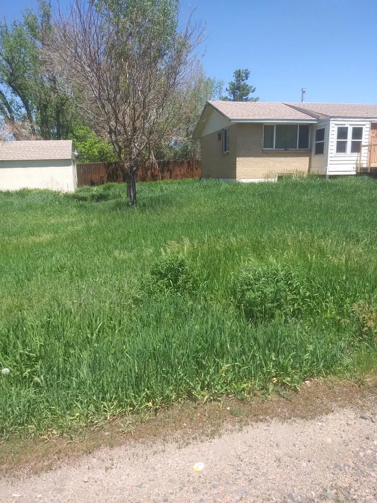 Affordable garden landscaping for residential properties in Wheat Ridge, CO by Tony's Lanscaping