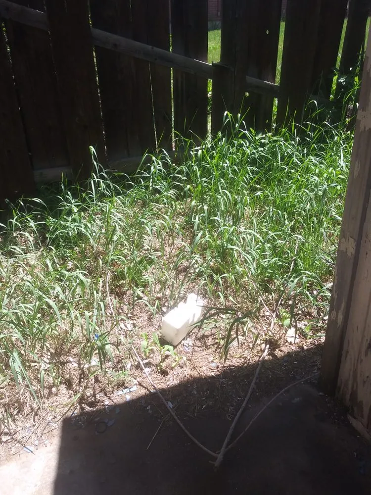 Custom outdoor landscaping for homes across Wheat Ridge, CO - Tony's Lanscaping