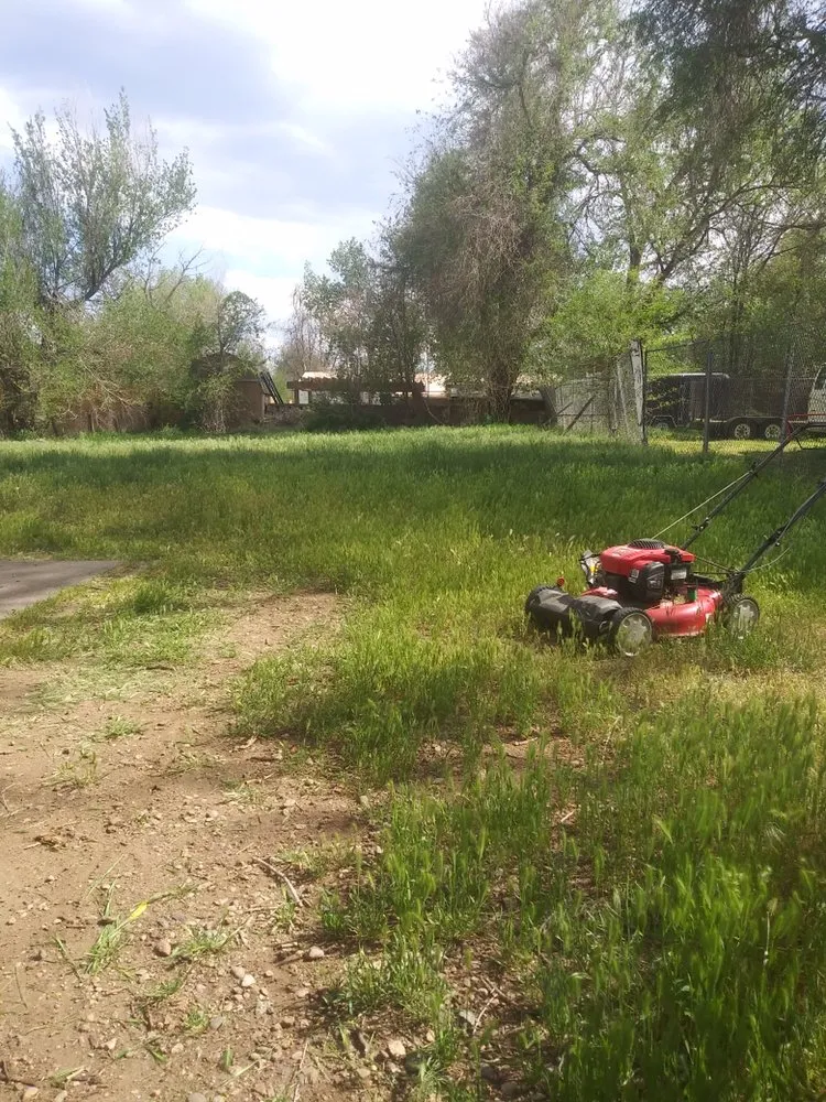 Local landscape installation in Wheat Ridge, CO - Tony's Lanscaping