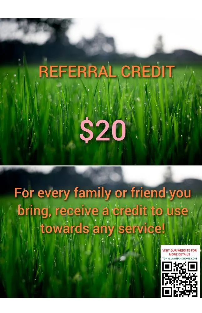 Reliable landscaping services in Flint, MI - TONYS LAWN & HOME