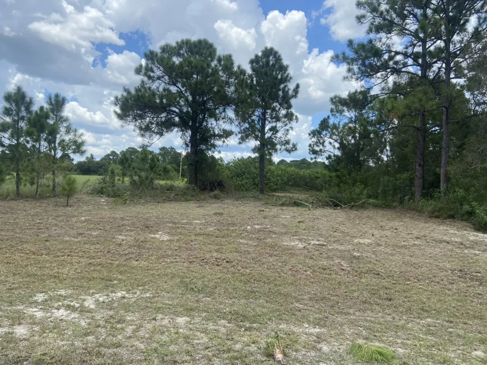 Expert landscape installation in Lehigh Acres, FL - Tony’s Lawn Care & Pressure Washing