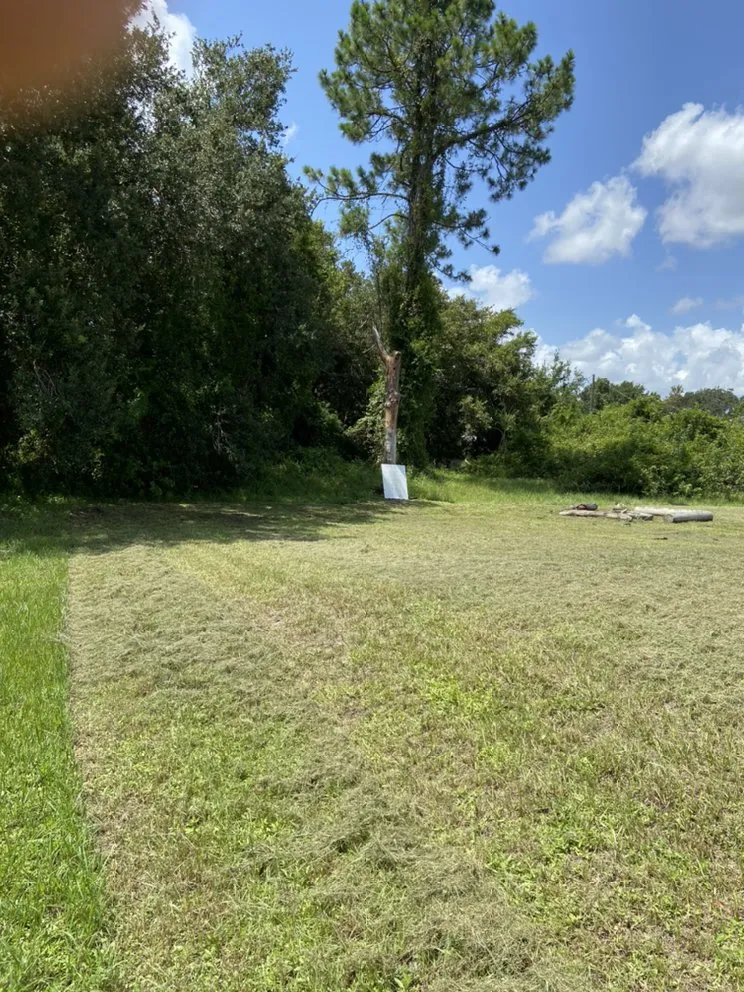 Trusted lawn care service in Lehigh Acres, FL by Tony’s Lawn Care & Pressure Washing