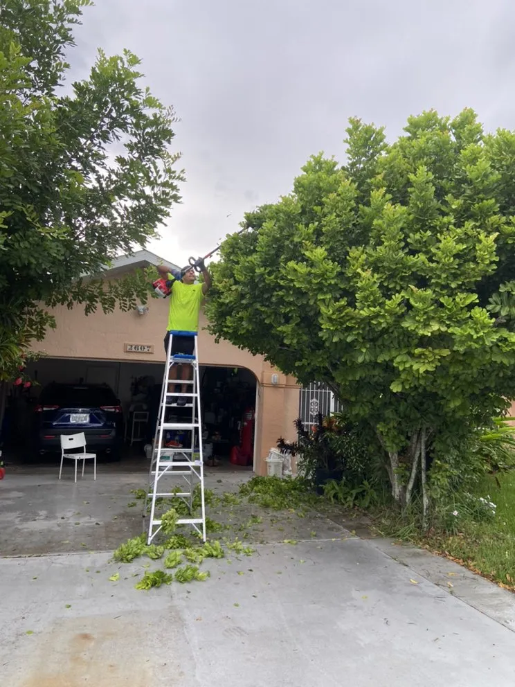 Top-rated lawn care service experts serving Lehigh Acres, FL - Tony’s Lawn Care & Pressure Washing