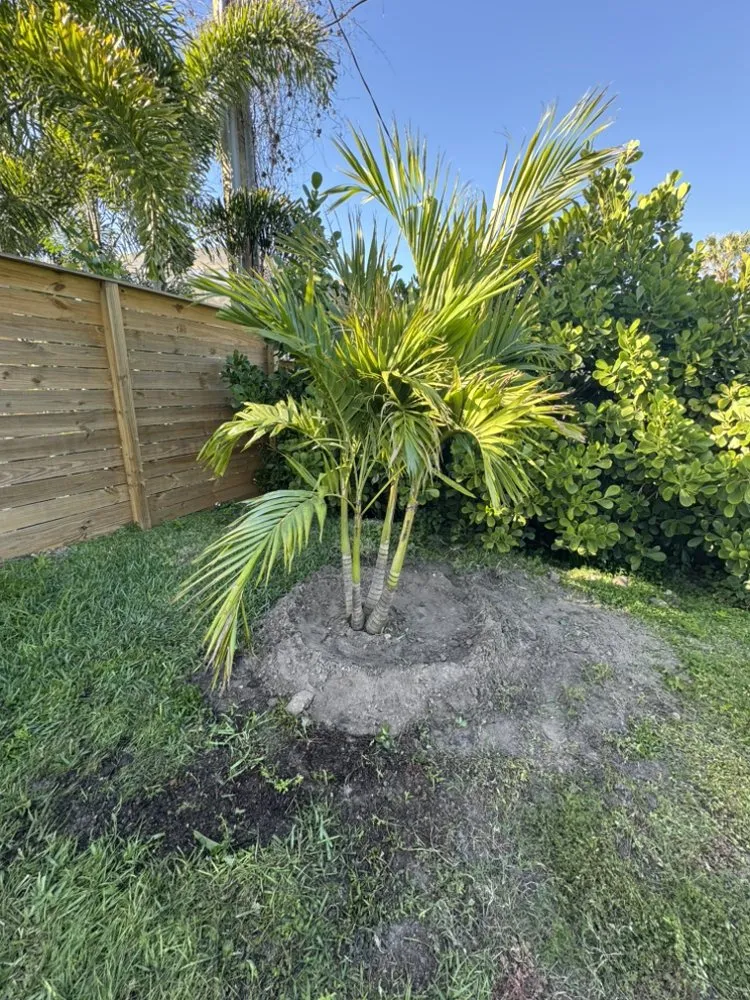 Affordable garden landscaping in Lehigh Acres, FL - Tony’s Lawn Care & Pressure Washing