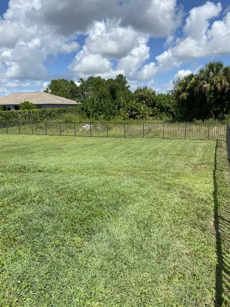 Professional yard cleanup service for beautiful yards in Lehigh Acres, FL by Tony’s Lawn Care & Pressure Washing