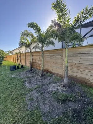 Tony’s Lawn Care & Pressure Washing Logo