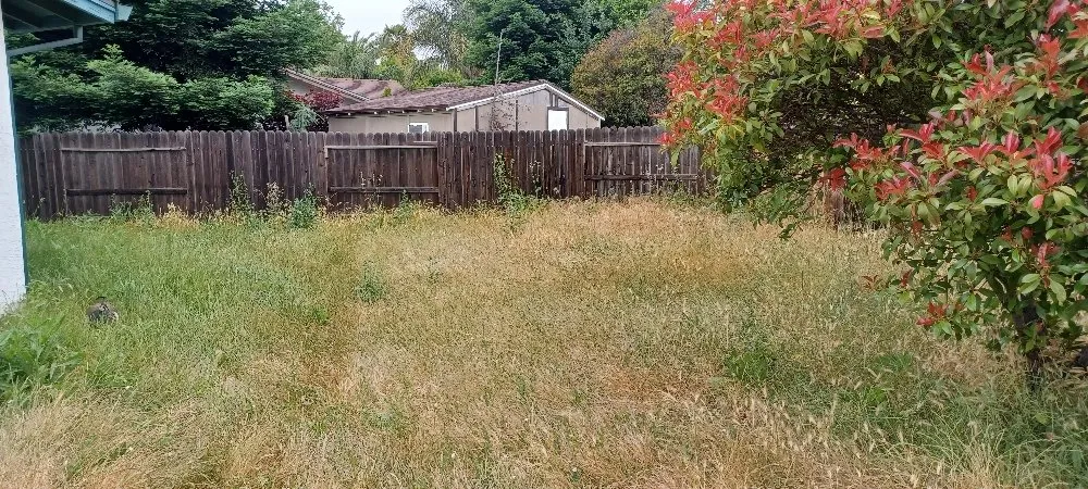 Local residential landscaping experts serving Fairfield, CA - Tony's Lawn Care