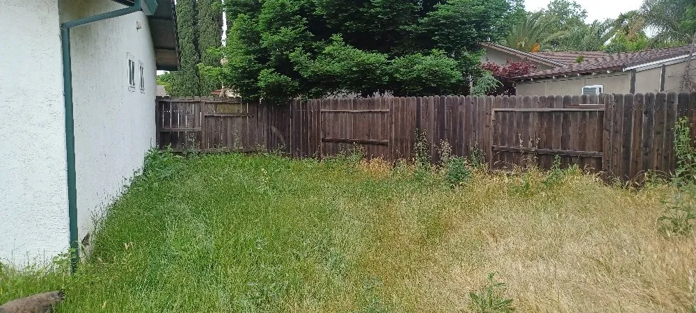 Custom landscape installation for year-round maintenance in Fairfield, CA by Tony's Lawn Care