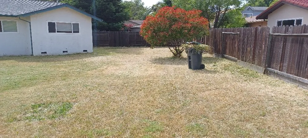 Top-rated lawn care service in Fairfield, CA - Tony's Lawn Care