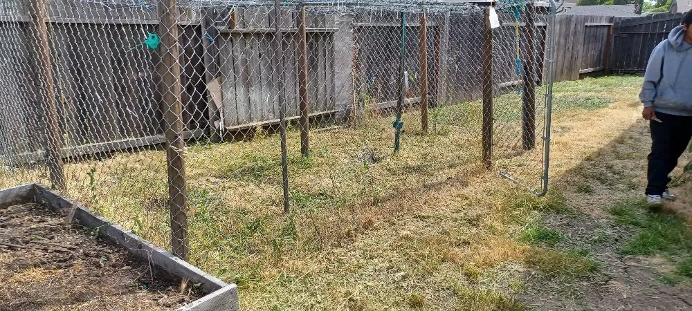 Top-rated lawn care service in Fairfield, CA - Tony's Lawn Care