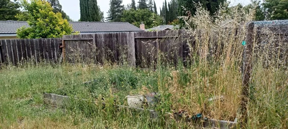 Local landscape installation in Fairfield, CA by Tony's Lawn Care