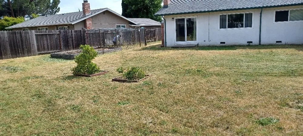 Affordable residential landscaping in Fairfield, CA - Tony's Lawn Care