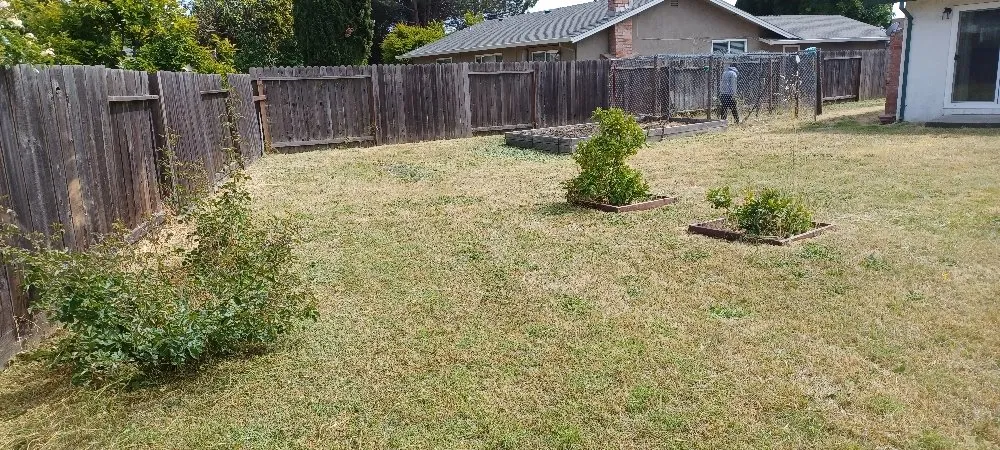 Custom yard maintenance in Fairfield, CA by Tony's Lawn Care