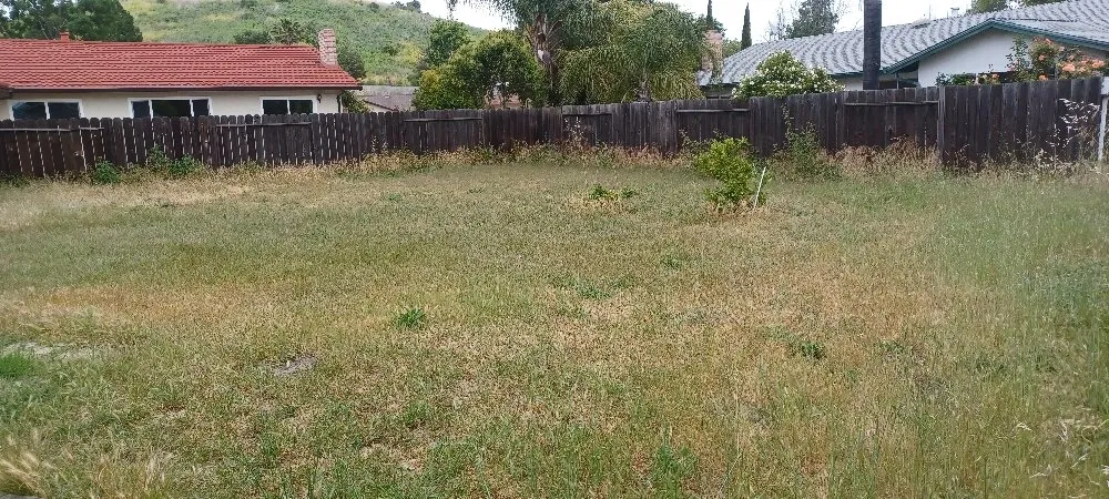 Reliable lawn mowing service experts serving Fairfield, CA - Tony's Lawn Care