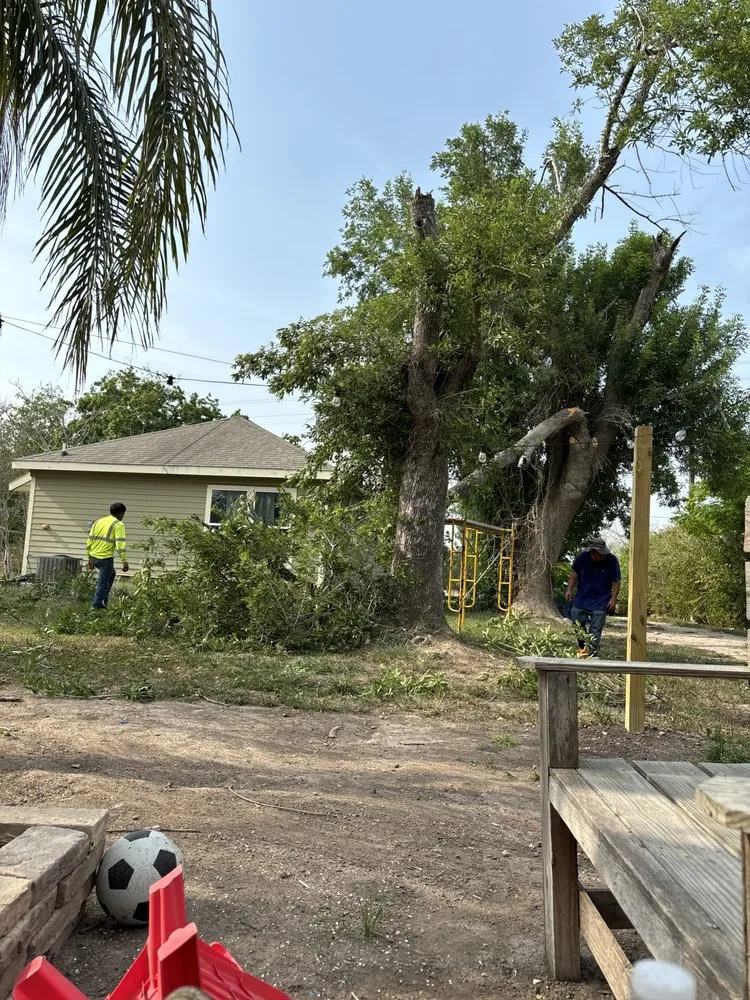 Reliable lawn care service with custom design across San Benito, TX - Tonys lawn care