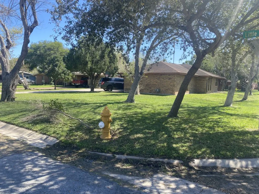 Top-rated landscaping services for residential properties across San Benito, TX - Tonys lawn care