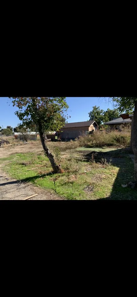 Local residential landscaping in Modesto, CA by Tony’s Lawn Care Services