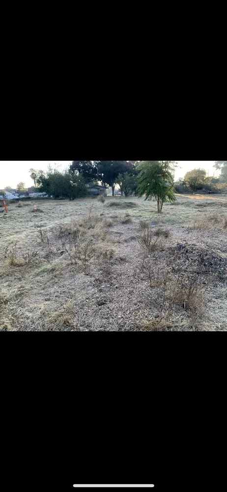 Affordable yard maintenance near you across Modesto, CA - Tony’s Lawn Care Services