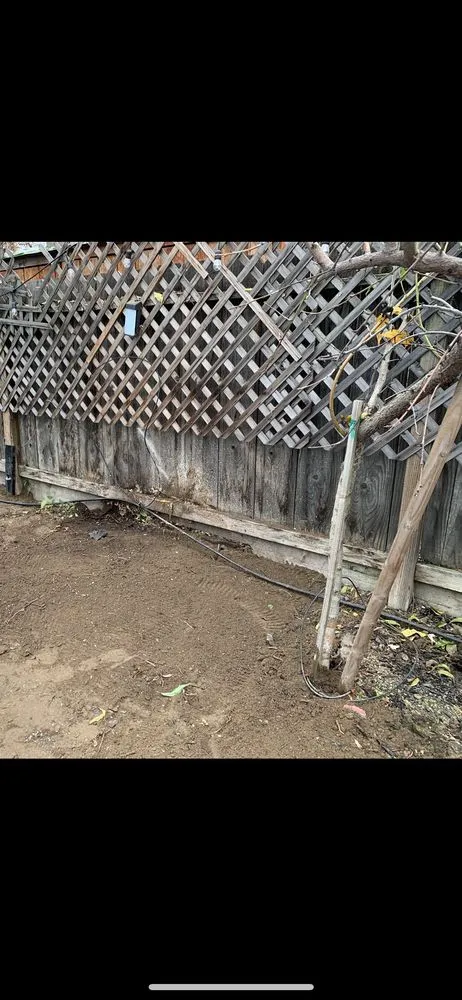 Affordable residential landscaping experts serving Modesto, CA - Tony’s Lawn Care Services