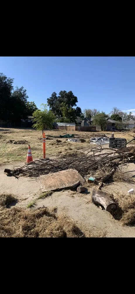 Trusted outdoor landscaping experts serving Modesto, CA - Tony’s Lawn Care Services