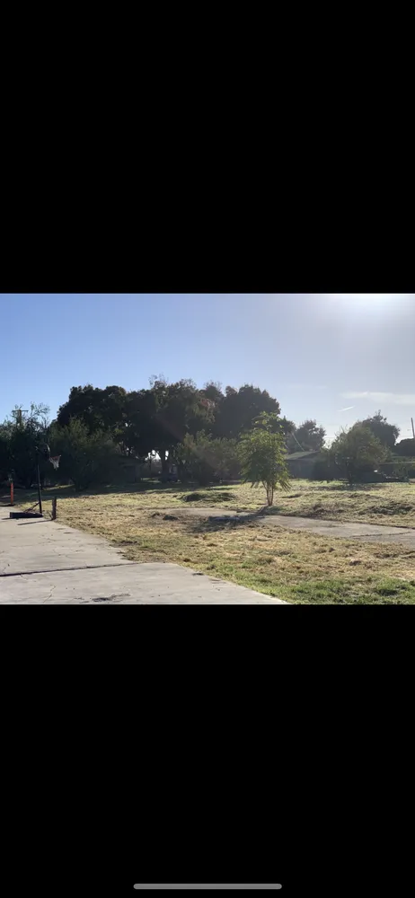 Affordable lawn care service in Modesto, CA - Tony’s Lawn Care Services