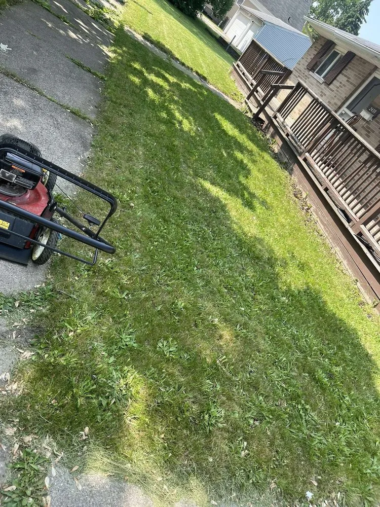 Local garden landscaping near you in Saginaw, MI by Tonys Lawn Mowing