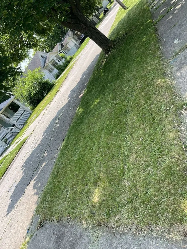 Top-rated landscape design in Saginaw, MI - Tonys Lawn Mowing