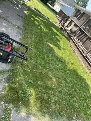 Tonys Lawn Mowing Logo