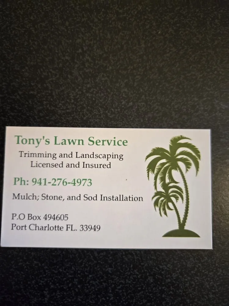 Trusted yard maintenance in Port Charlotte, FL by Tony's lawn service