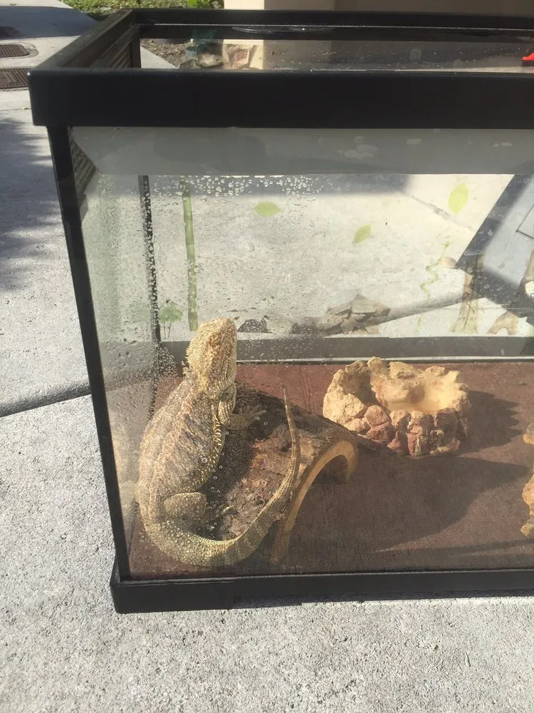 Affordable landscape installation for outdoor upgrades in North Miami, FL by Tonys Lawn Services