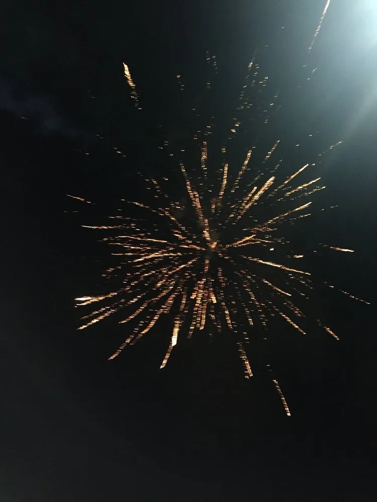 Affordable landscape installation for year-round maintenance across North Miami, FL - Tonys Lawn Services