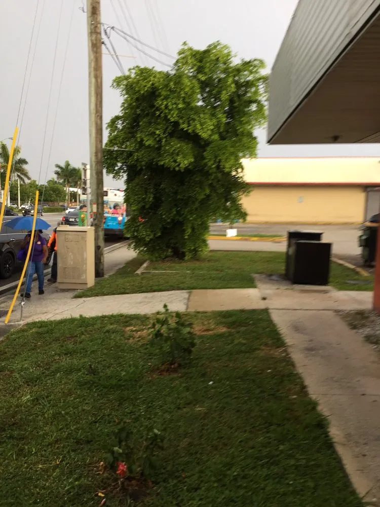 Local outdoor landscaping experts serving North Miami, FL - Tonys Lawn Services