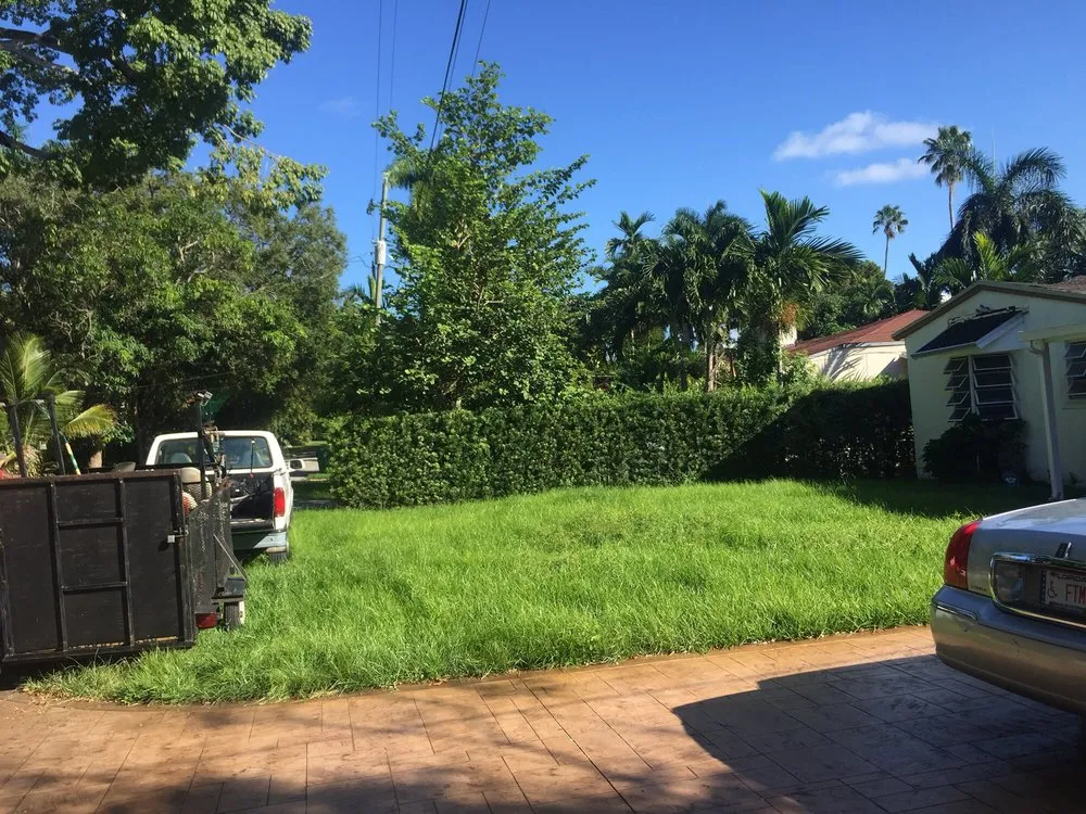Expert yard maintenance for residential properties in North Miami, FL by Tonys Lawn Services