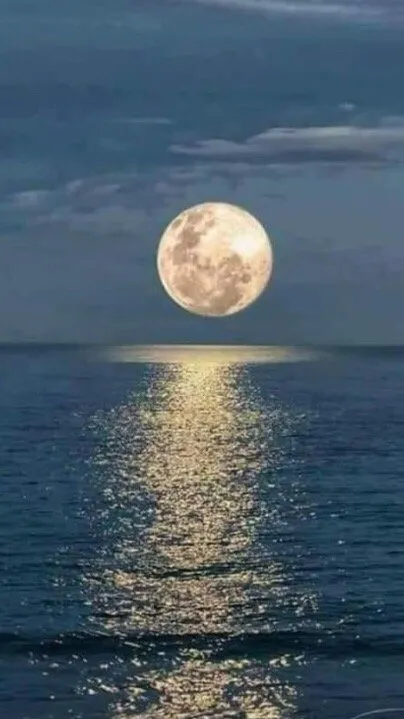 Reliable yard maintenance with custom design across North Miami, FL - Tonys Lawn Services