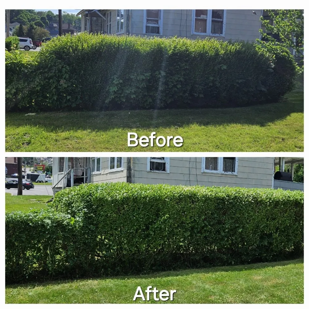 Reliable landscape installation experts serving Greenville, PA - Tony's Lawncare And Landscaping