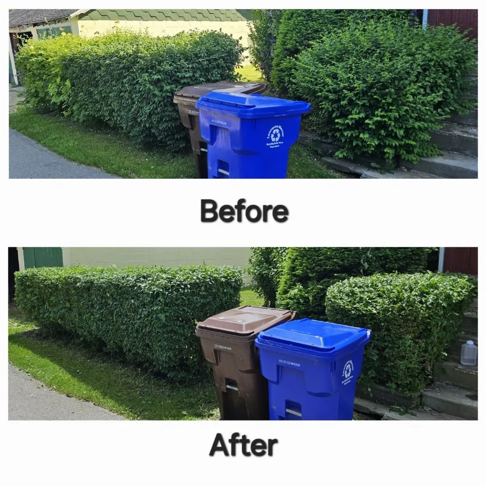 Top-rated yard cleanup service near you in Greenville, PA by Tony's Lawncare And Landscaping