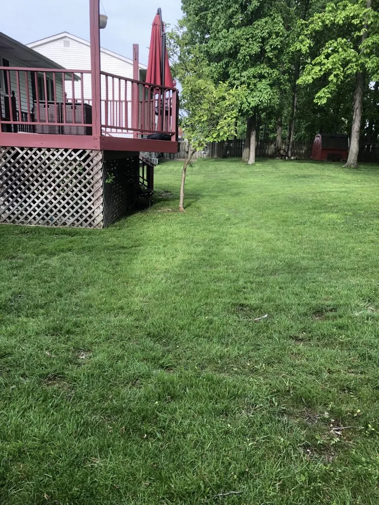 Expert lawn care service in Cleveland, OH - Tony’s Lawncare