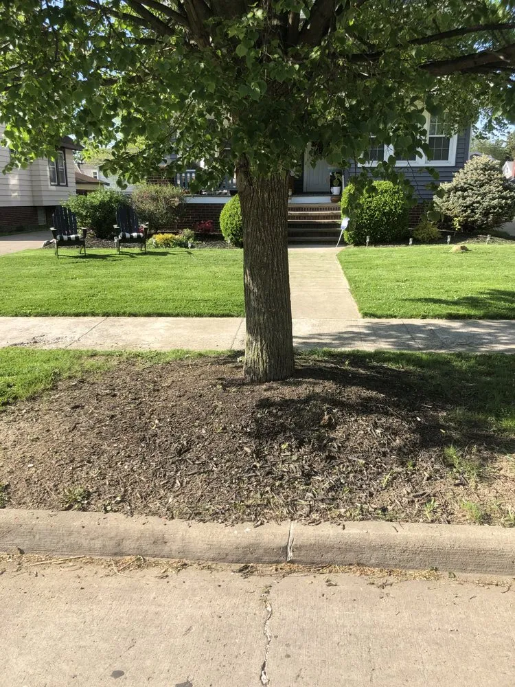 Professional yard cleanup service experts serving Cleveland, OH - Tony’s Lawncare