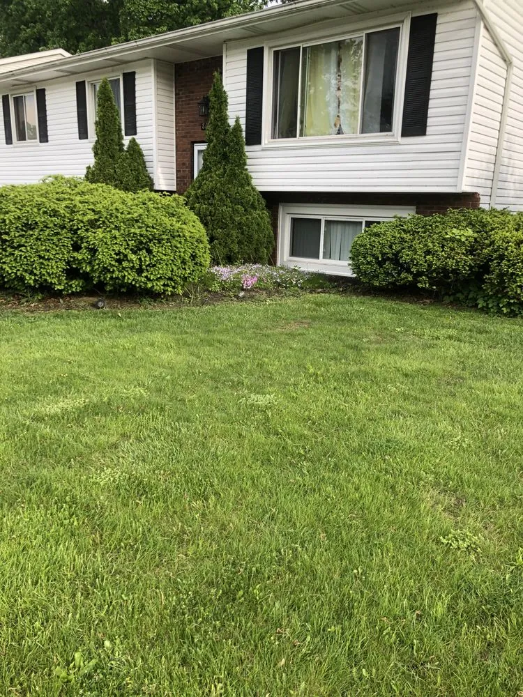 Affordable yard cleanup service experts serving Cleveland, OH - Tony’s Lawncare