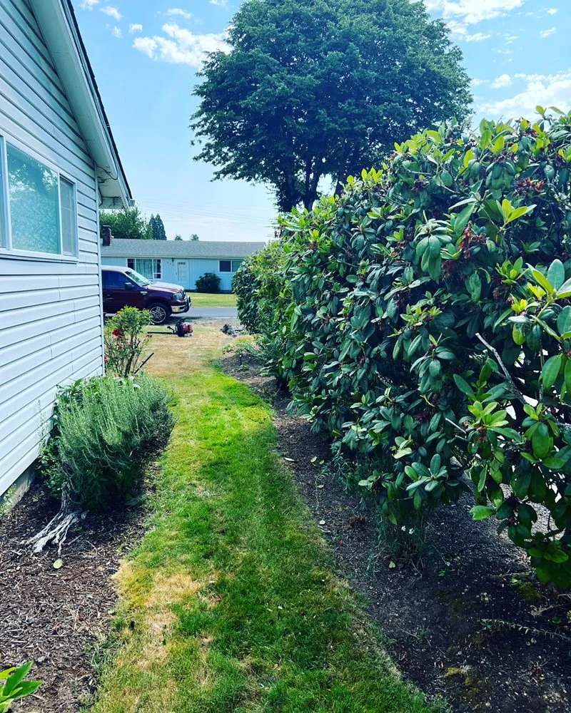 Top-rated landscaping services for year-round maintenance across Springfield, OR - Tonys Maintenance