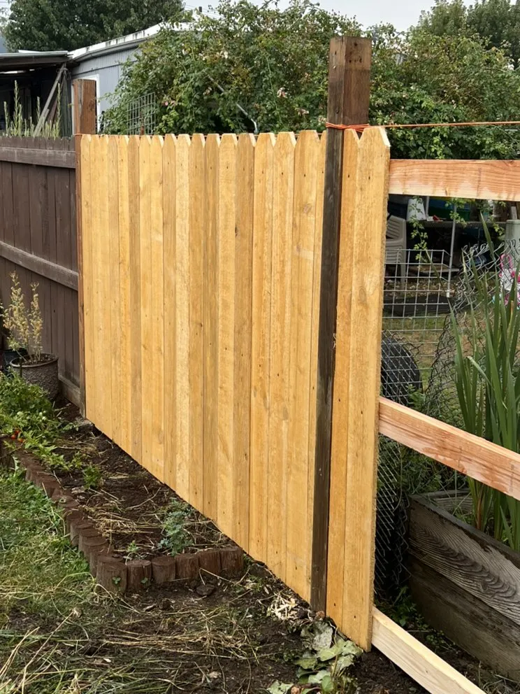 Affordable lawn mowing service for homes across Springfield, OR - Tonys Maintenance