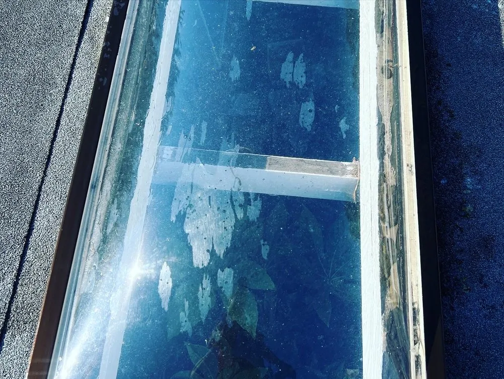 Expert residential landscaping in Springfield, OR - Tonys Maintenance