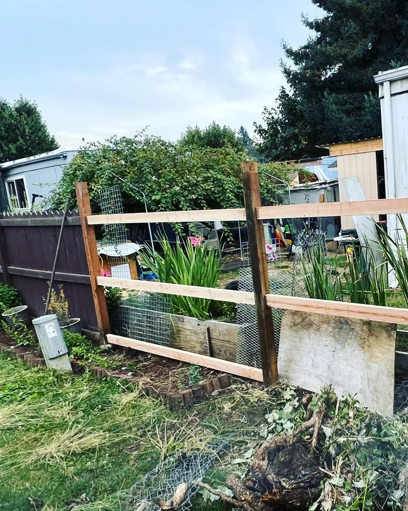 Reliable yard cleanup service in Springfield, OR by Tonys Maintenance