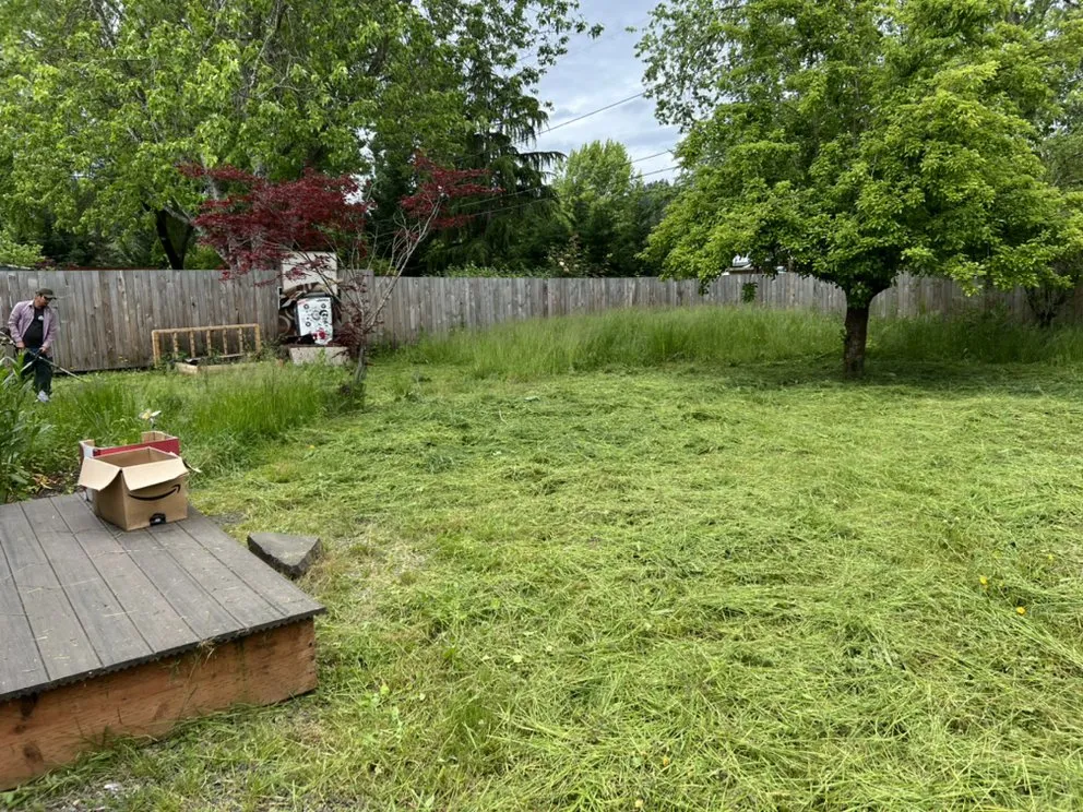 Affordable outdoor landscaping in Springfield, OR by Tonys Maintenance