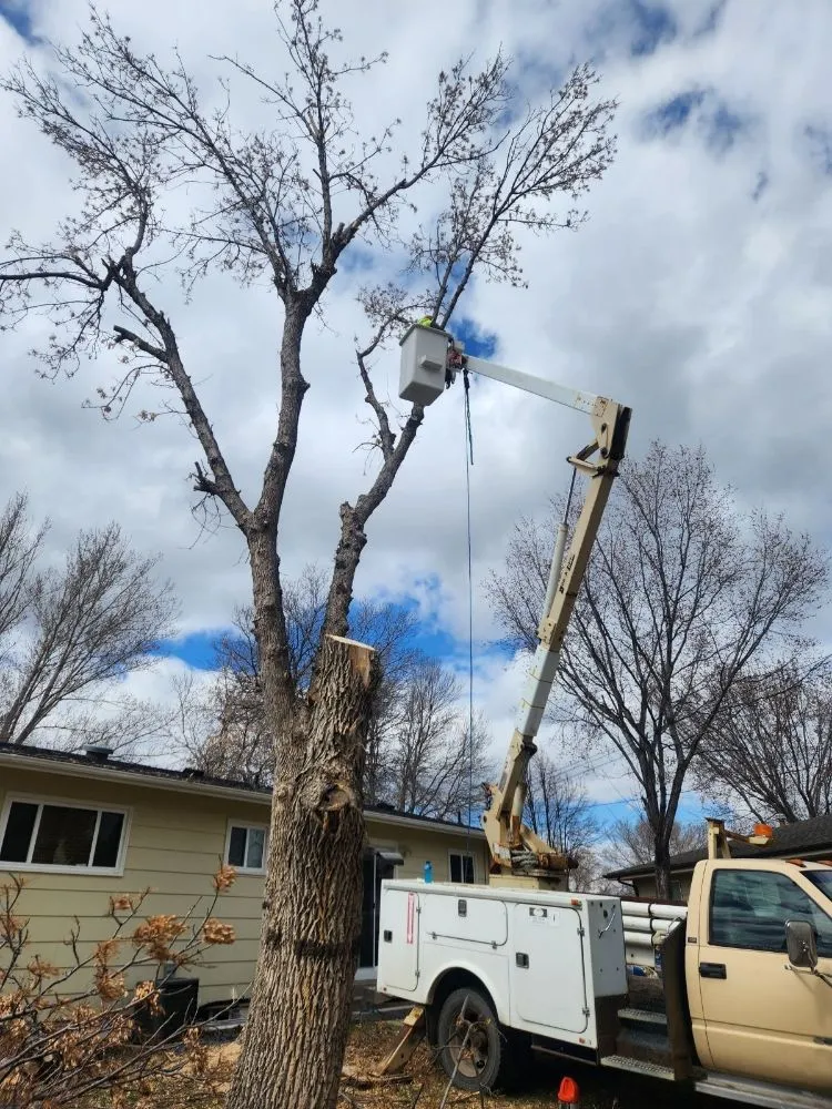 Expert outdoor landscaping in Minot, ND by Tony's Mow & Snow